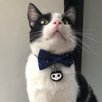 Placa de identificación Gato esqueleto