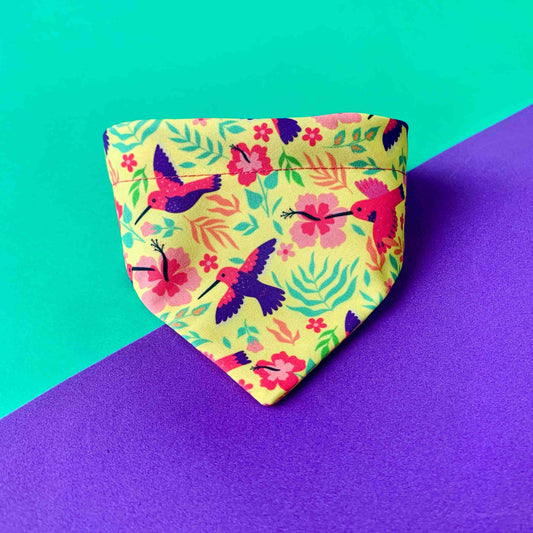 Pañoleta para gatos Colibríes