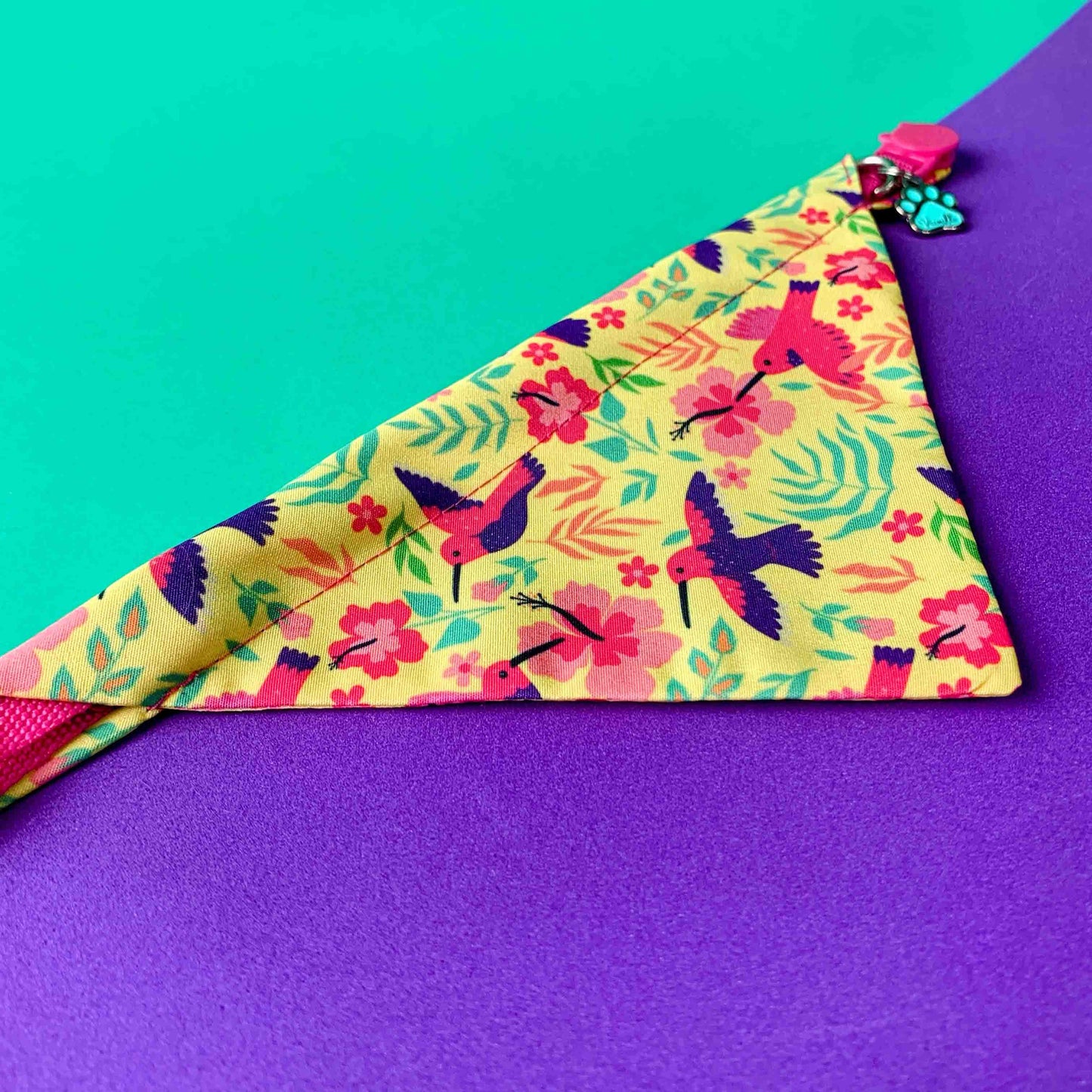 Pañoleta para gatos Colibríes