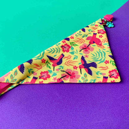 Pañoleta para gatos Colibríes
